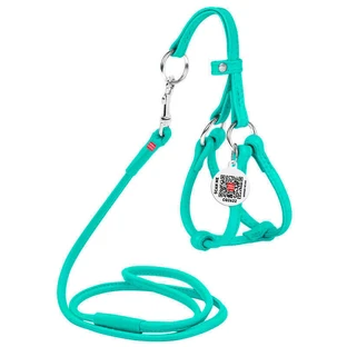 Collar WAUDOG Glamour - Шлея шкіряна кругла з повідцем і QR паспортом для собак; XXS/0,6х26-46х30-50 см (Бірюзовий)