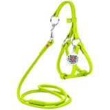 Collar WAUDOG Glamour - Шлея кожаная круглая с поводком и QR паспортом для собак; XXS/0,6х26-46х30-50 см (Салатовый)