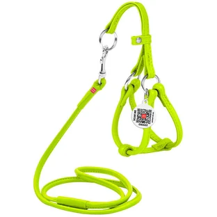 Collar WAUDOG Glamour - Шлея шкіряна кругла з повідцем і QR паспортом для собак; XXS/0,6х26-46х30-50 см (Салатовий)