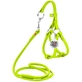 Collar WAUDOG Glamour - Шлея шкіряна кругла з повідцем і QR паспортом для собак; XXS/0,6х26-46х30-50 см (Салатовий)