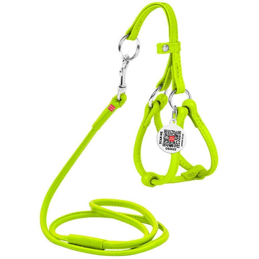 Collar WAUDOG Glamour - Шлея шкіряна кругла з повідцем і QR паспортом для собак; XXS/0,6х26-46х30-50 см (Салатовий): ціни та характеристики