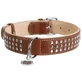 Collar WAUDOG Soft - Нашийник шкіряний з металевим декором і QR паспортом для собак; XL (3,5х46-60 см) (Коричневий)
