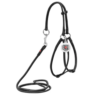 Collar WAUDOG Soft - Шлея кожаная с поводком и QR паспортом для собак; XS/0,6х26-46х30-50 см (Черный)