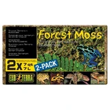 Exo Terra (Экзо Терра) Forest Moss - Наполнитель Лесной мох для террариума; 500 г