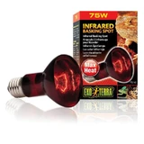Exo Terra (Екзо Терра) Infrared Basking Spot - Лампа розжарювання інфрачервона для тераріуму; 75W