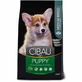 Farmina Cibau Puppy Medium Chicken – Сухий корм із куркою для цуценят собак середніх порід; 2,5 кг