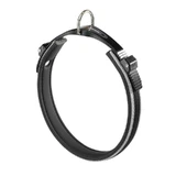 Ferplast (Ферпласт) Ergocomfort Linear C - Ошейник нейлоновый для собак; 2,5х43-51 см (Серый)