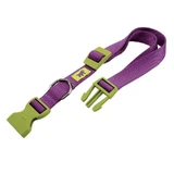 Ferplast (Ферпласт) Club Colours C - Нашийник нейлоновий для собак; 2,5х45-70 см (Фіолетовий)