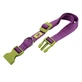 Ferplast (Ферпласт) Club Colours C - Нашийник нейлоновий для собак; 2х36-56 см (Фіолетовий)