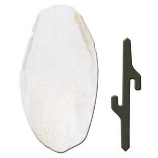 Ferplast (Ферпласт) Cuttlebone - Косточка каракатицы для укрепления клюва птиц; 5x1,5x12,5 см