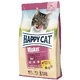 Happy Cat