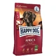 Happy Dog