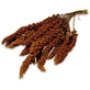 JR Farm (Джиэр Фарм) Birds Spray Millet Red – Красное просо для волнистых попугаев; 250 г