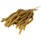 JR Farm (ΠΠΆΠΈΡΡ Π€Π°ΡΠΌ) Birds Spray Millet Yellow β ΠΡΠ»ΡΠΎΠ΅ ΠΏΡΠΎΡΠΎ Π΄Π»Ρ Π²ΠΎΠ»Π½ΠΈΡΡΡΡ
ΠΏΠΎΠΏΡΠ³Π°Π΅Π² ΠΈ Π΄ΡΡΠ³ΠΈΡ
Π΄Π΅ΠΊΠΎΡΠ°ΡΠΈΠ²Π½ΡΡ
ΠΏΡΠΈΡ; 250 Π³