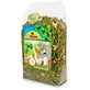 JR Farm (Джиер Фарм) Celery Crunch - Додатковий корм з різнотрав'ям для гризунів; 200 г