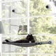 M-Pets (М-Петс) Horizon Cat Window Perch - Лежак для котів, що закріплюється на вікні; 73х40,5х63 см