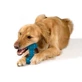Petstages (Петстейджес) Orka Bone - Іграшка для собак 'Кісточка з канатиком'; 16 см