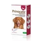 KRKA (КРКА) Prinocate Dog - Противопаразитарные капли Принокат на холку от блох, власоедов, коростяных клещей и гельминтов для собак (1 пипетка); 10-25 кг Sale!
