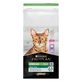 Purina Pro Plan Sterilised Adult Renal Plus - Сухой корм с индейкой для стерилизованных котов; 14 кг