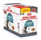 Royal Canin (Роял Канин) Hairball Care - Консервированный корм для взрослых котов (кусочки в соусе); 9+3 (85 г)