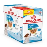 Royal Canin Mini Puppy - Консервований корм для цуценят дрібних порід (шматочки в соусі); 9+3 (85 г)