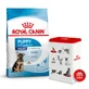 Royal Canin Maxi Puppy - Сухой корм для щенков от 2 до 15 месяцев; 4 кг + Container
