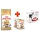 Royal Canin Maine Coon Adult - Сухой корм с птицей для взрослых кошек породы Мейн-Кун; 2 кг + 12(85 г) + Feeder