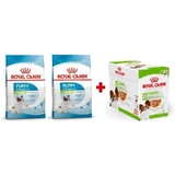 Royal Canin X-Small Puppy - Сухий корм для мініатюрних цуценят віком від 2 до 10 місяців; 3 кгх2 + 12 (85 г)
