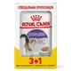Royal Canin