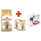 Royal Canin British Shorthair Adult - Сухой корм с птицей для взрослых Британских короткошерстных кошек; 2 кг + 12(85 г) + Feeder