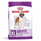 Royal Canin Giant Adult - Сухой корм для взрослых собак больших размеров; 15 кг