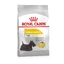 Royal Canin (Роял Канин) Mini Dermacomfort - Сухой корм для собак с чувствительной кожей, склонной к раздражениям и зуду; 3 кг
