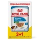 Royal Canin Mini Puppy - Консервований корм для цуценят дрібних порід (шматочки в соусі); 3+1 шт.