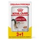 Royal Canin (Роял Канин) Instinctive Loaf - Консервированный корм для кошек (паштет); 3+1 шт.