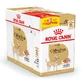 Royal Canin Chihuahua Adult - Вологий корм для дорослих собак породи Чіхуахуа (паштет); 9+3х85 г