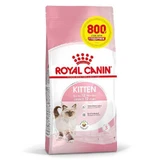 Royal Canin Kitten - Сухий корм з птицею для кошенят до 12 міс; 3,2 кг + 800 г
