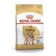 Royal Canin Bulldog 24 Adult - Сухий корм для дорослих бульдогів; 12 кг