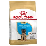 Royal Canin German Shepherd Puppy - Сухой корм для щенков Немецкой Овчарки; 12 кг
