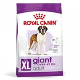 Royal Canin Giant Adult - Сухой корм для взрослых собак больших размеров; 4 кг