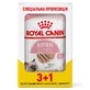 Royal Canin Kitten Loaf - Консервированный корм для котят (паштет); 3+1 шт