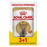 Royal Canin British Shorthair Adult - Консервований корм для дорослих котів породи Британська короткошерста (шматочки в підливі); 3+1 шт.