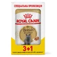 Royal Canin British Shorthair Adult - Консервований корм для дорослих котів породи Британська короткошерста (шматочки в підливі); 3+1 шт.