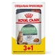 Royal Canin Digestive Care - Консервований корм для котів з чутливим травленням (шматочки в соусі); 3+1 шт.