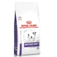 Royal Canin Neutered Adult Small Dog - Ветеринарна дієта для стерилізованих собак малих порід, що схильні до набору зайвої ваги та сечокам'яної хвороби; 800 г