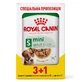 Royal Canin Mini Adult - Консервований корм для собак дрібних порід (шматочки в соусі); 3+1 шт.