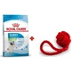 Royal Canin X-Small Puppy - Сухий корм для мініатюрних цуценят віком від 2 до 10 місяців; 1,5 кг + Gift ball toy