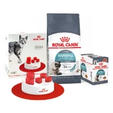 Royal Canin Hairball Care - Сухой корм с птицей для интенсивного выведения комочков шерсти у котов; 2 кг + 12(85 г) + Feeder