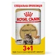 Royal Canin Maine Coon Adult - Консервированный корм для взрослых кошек породы Мейн-Кун (кусочки в соусе); 3+1 шт.