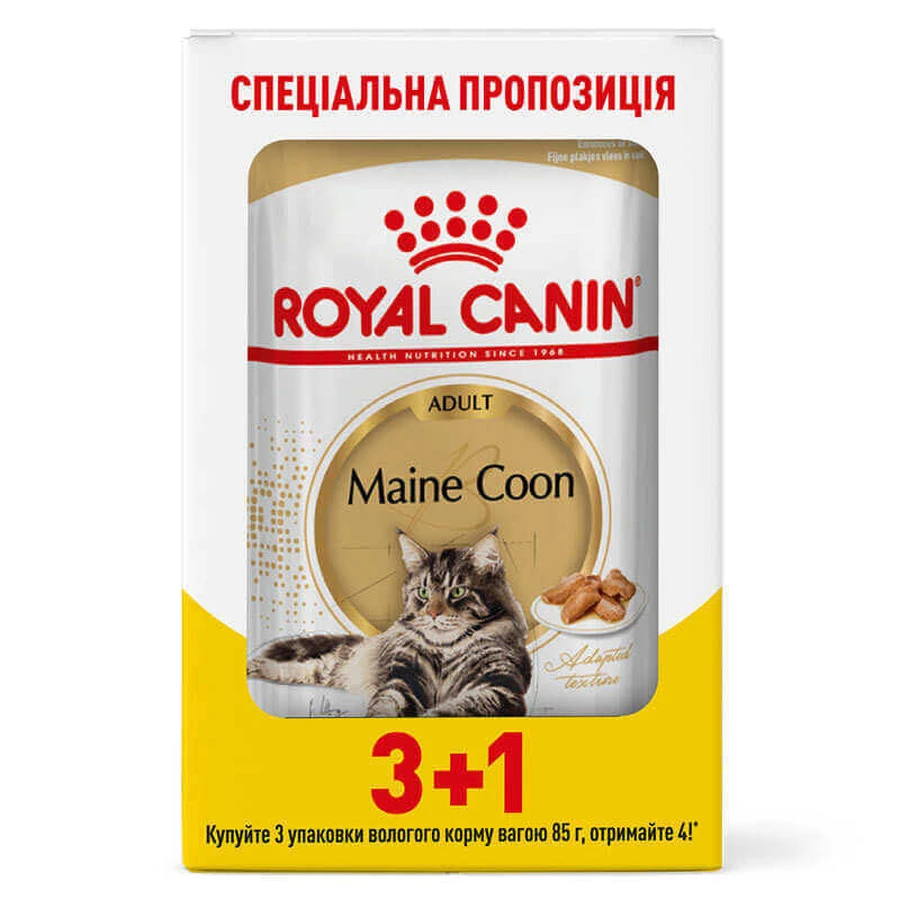 Royal Canin Maine Coon Adult - Консервированный корм для взрослых кошек породы Мейн-Кун (кусочки в соусе); 3+1 шт.: цены и характеристики