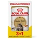 Royal Canin Maine Coon Adult - Консервированный корм для взрослых кошек породы Мейн-Кун (кусочки в соусе); 3+1 шт.